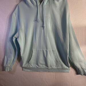 Levi's Men's Relaxed Fit Graphic Hoodie Sweatshirt in Mint Green